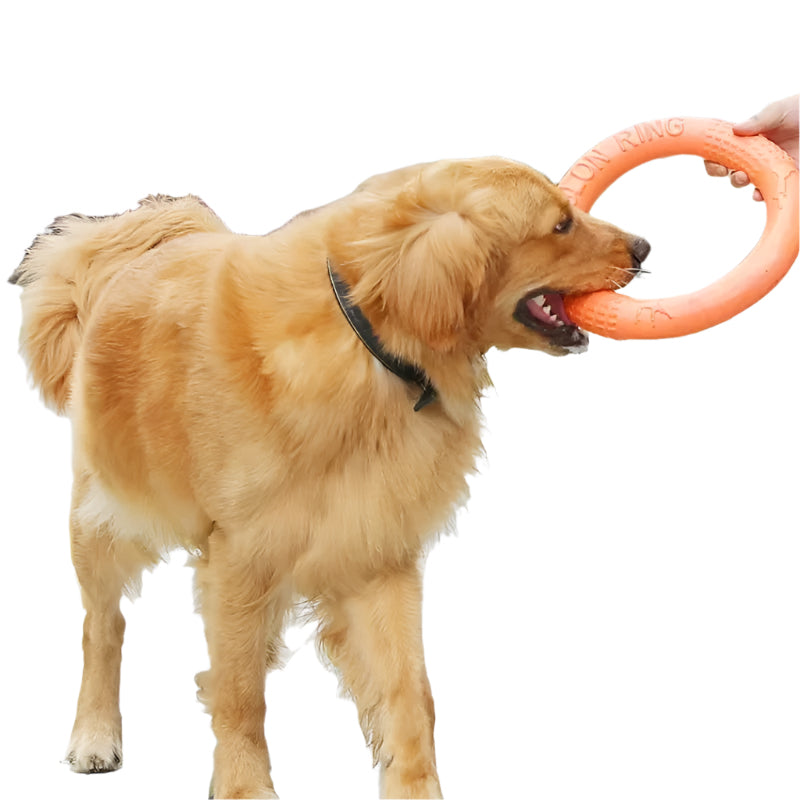 Dog Toys Pet Flying Disk Training Ring Puller Anti-Bite Floating Interactive Supplies Dog Toys Aggressive Chewing
