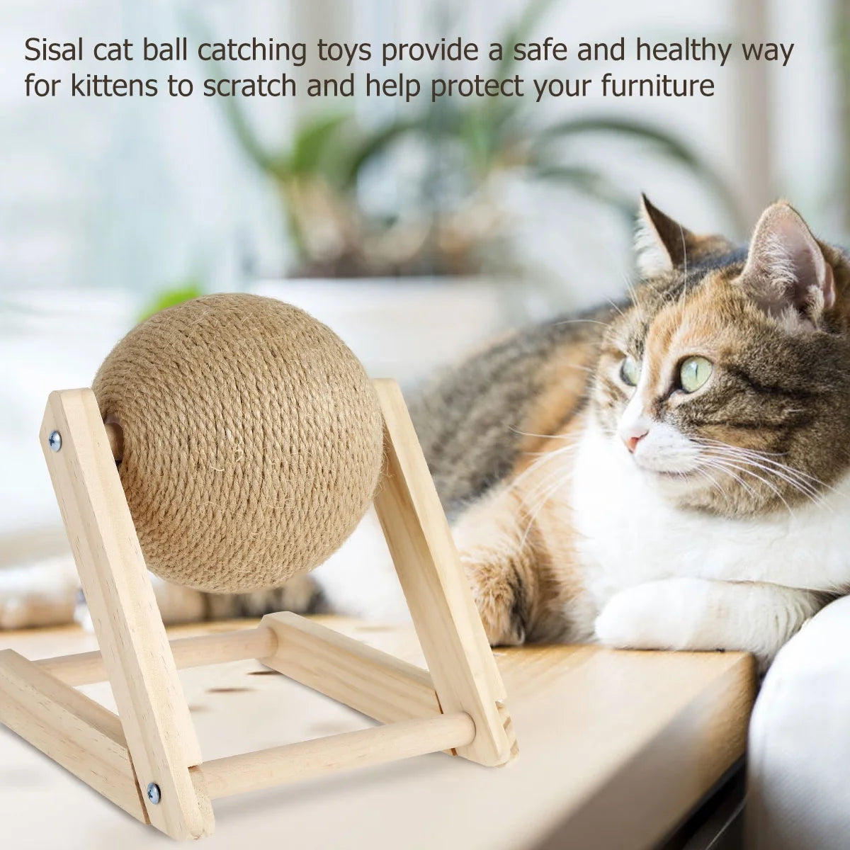 Cat Scratching Ball Natural Sisal with Catnip Interactive Solid Wood Scratcher Ball