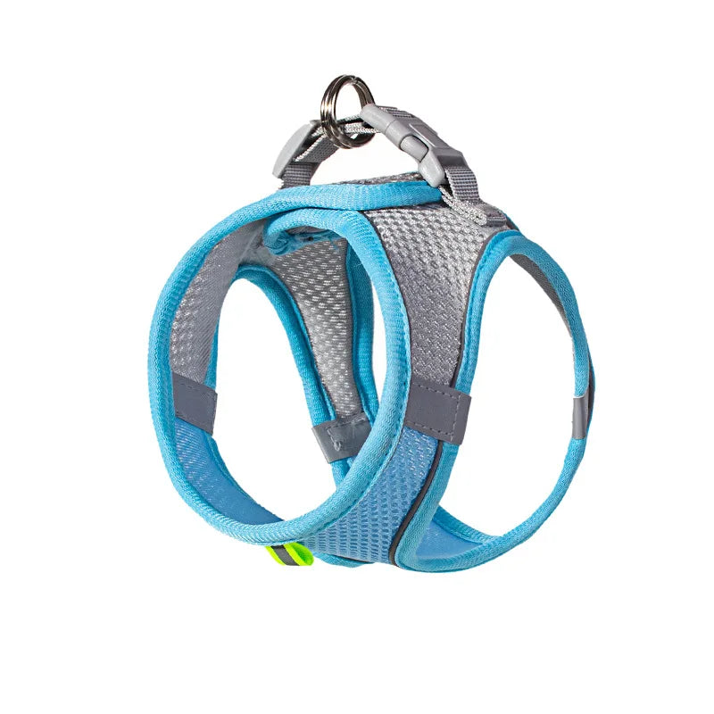 Small Pet Harness Leash