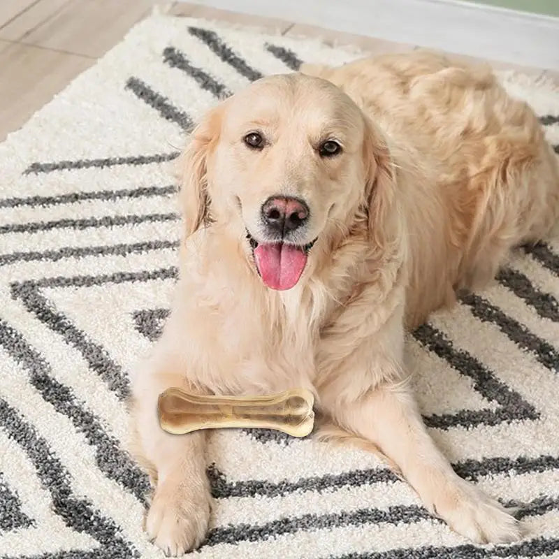 Chew Time Bone - Gentle On Gums, Tough On Bites