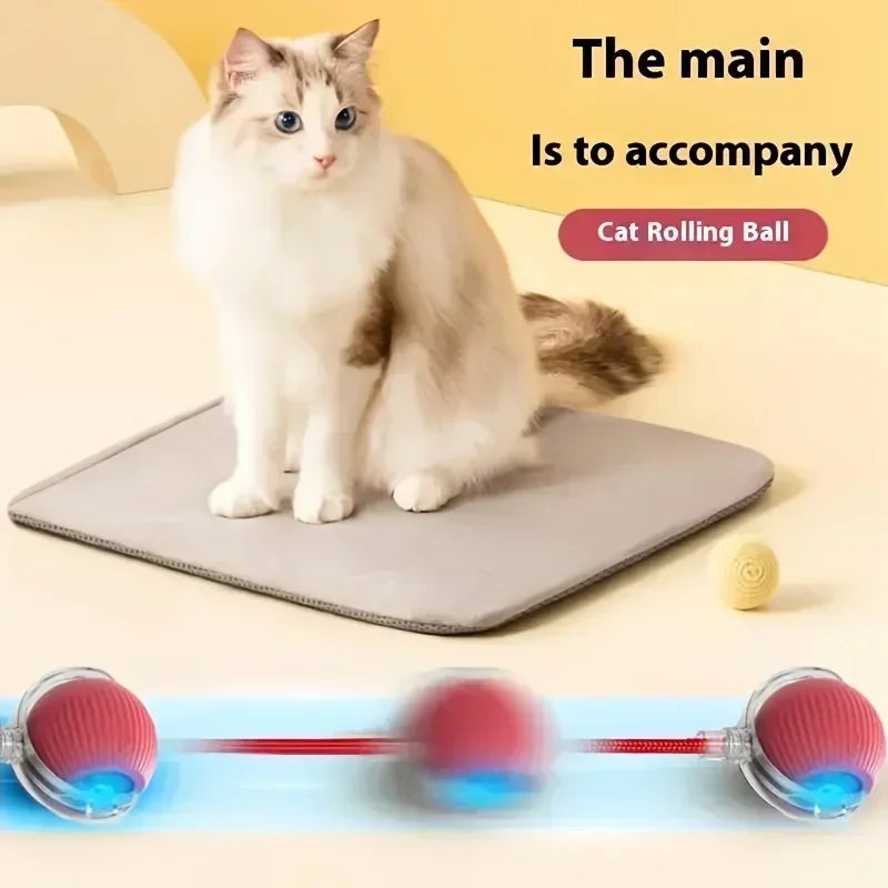 New Electric Cat Ball Toy Simulated