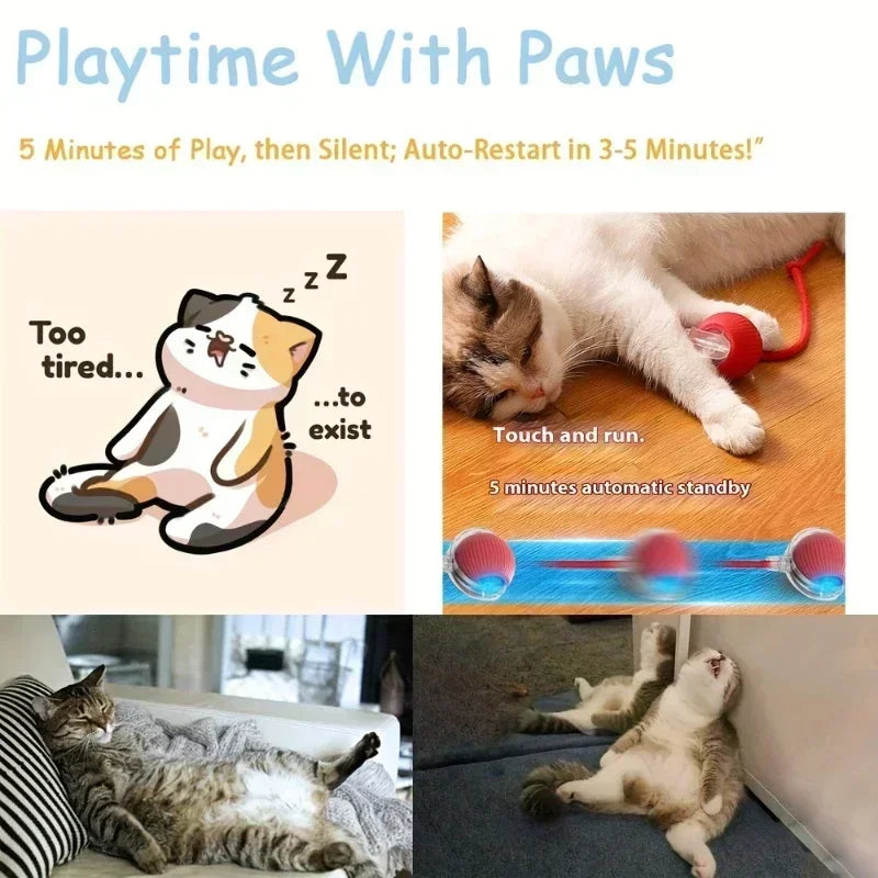 New Electric Cat Ball Toy Simulated