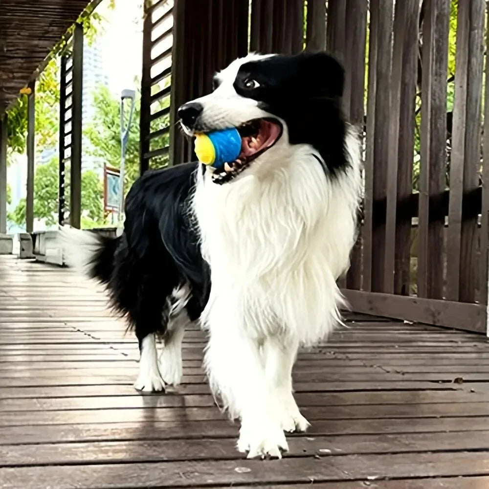 Durable Dog Chew Ball - Fun & Teeth - Cleaning