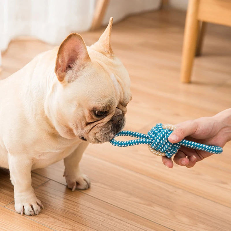 Mini Rope Ball Toy - Chew, Clean & Tug for All Dogs