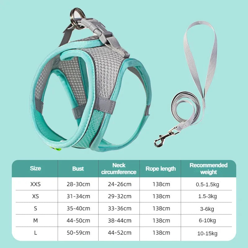 Small Pet Harness Leash
