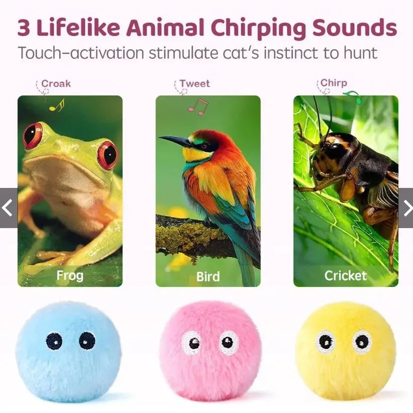 Cat Toys Balls Sound
