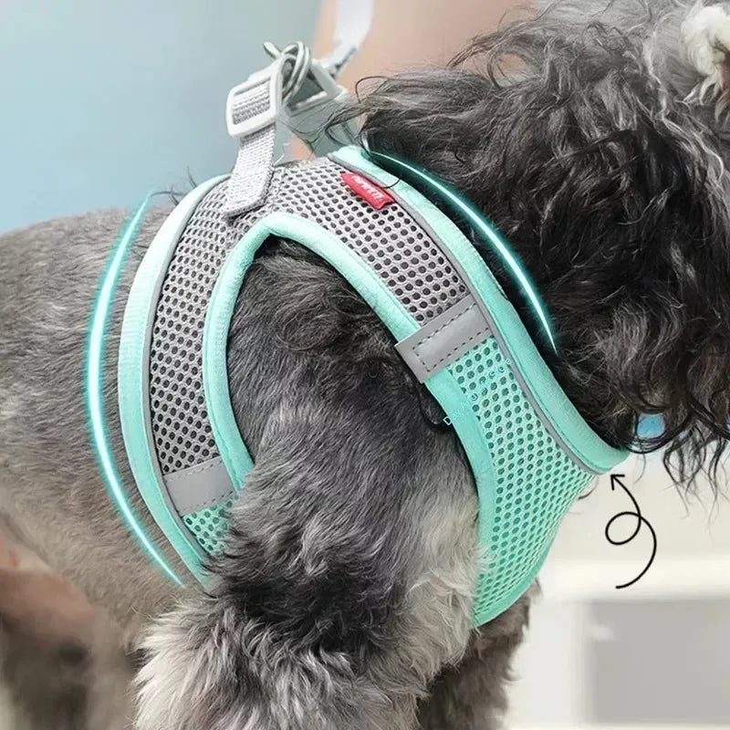 Small Pet Harness Leash