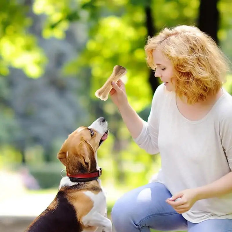 Chew Time Bone - Gentle On Gums, Tough On Bites
