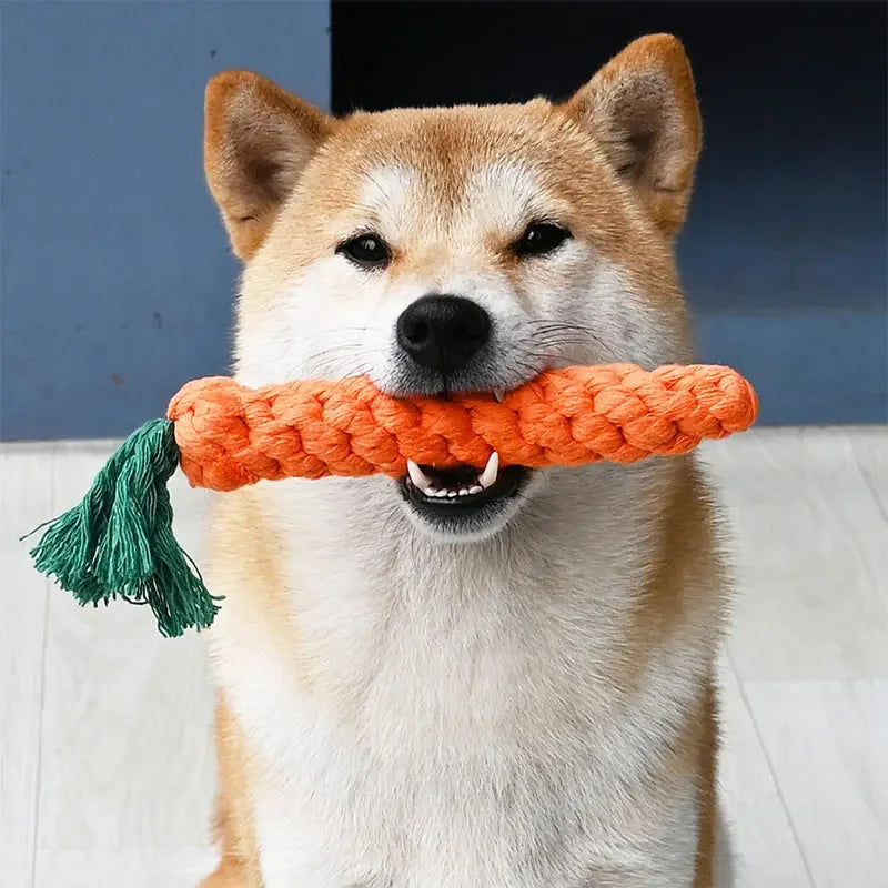 Braided Carrot Animal Chew Toy - Tough, Bite-Resistant & Fun
