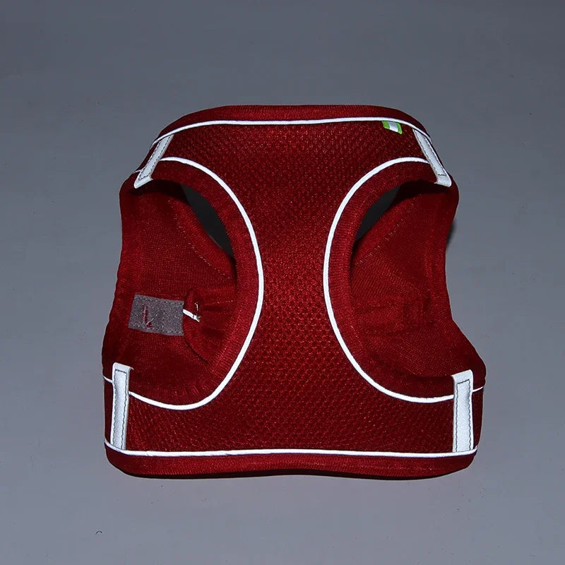 Small Pet Harness Leash