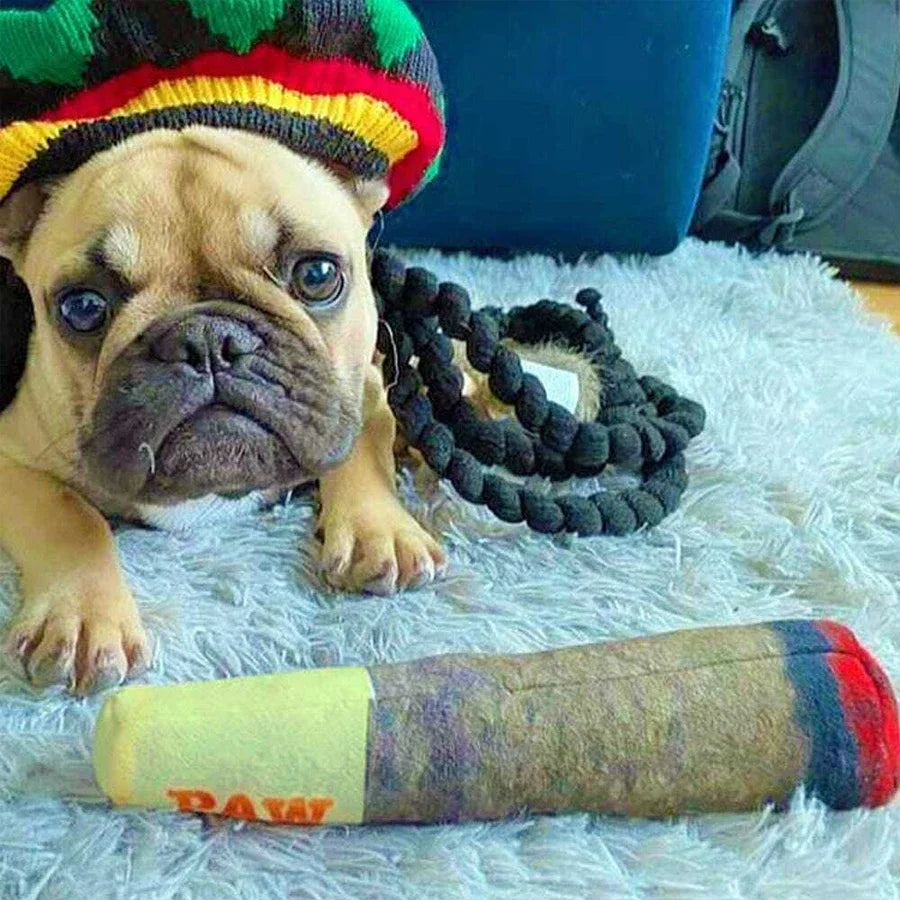 Cigar Plush Dog Toy - Squeaky, Fun & Teeth- Friendly