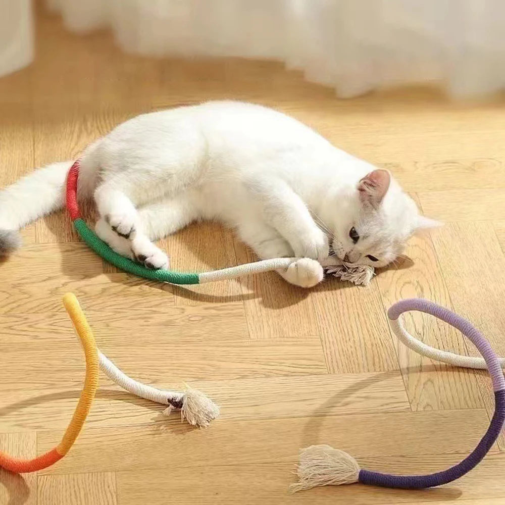 Interactive Cat Nip Kitty Toys for All Breeds