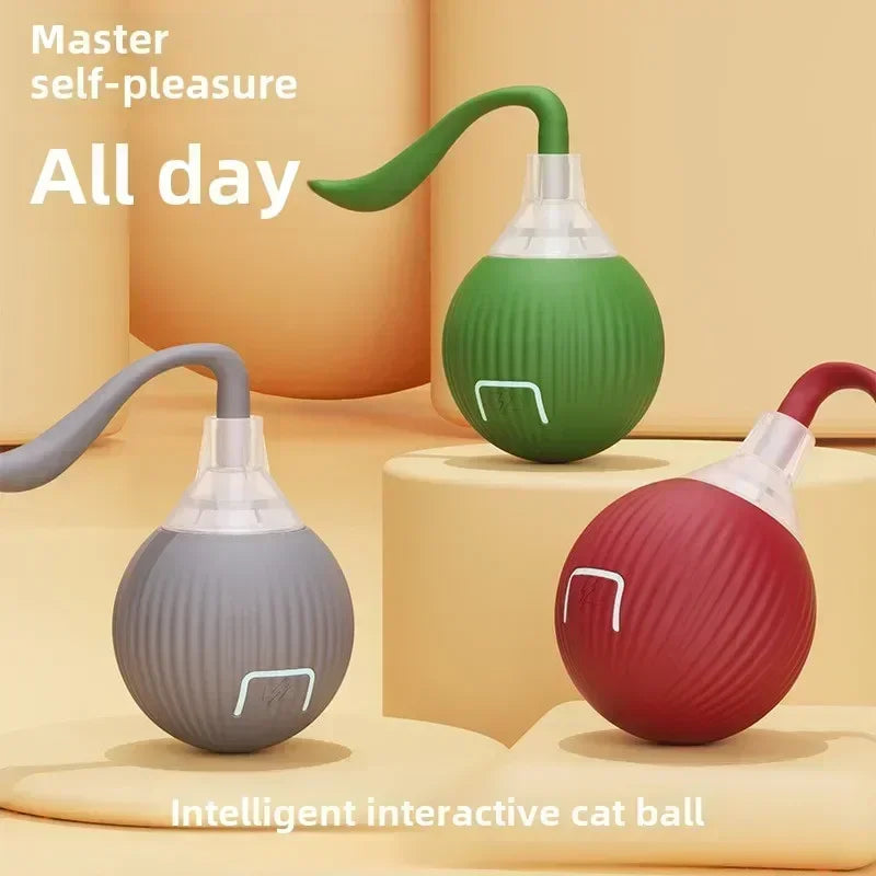 New Electric Cat Ball Toy Simulated