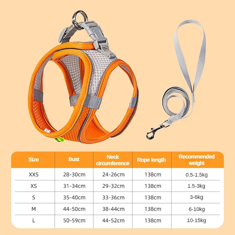 Small Pet Harness Leash