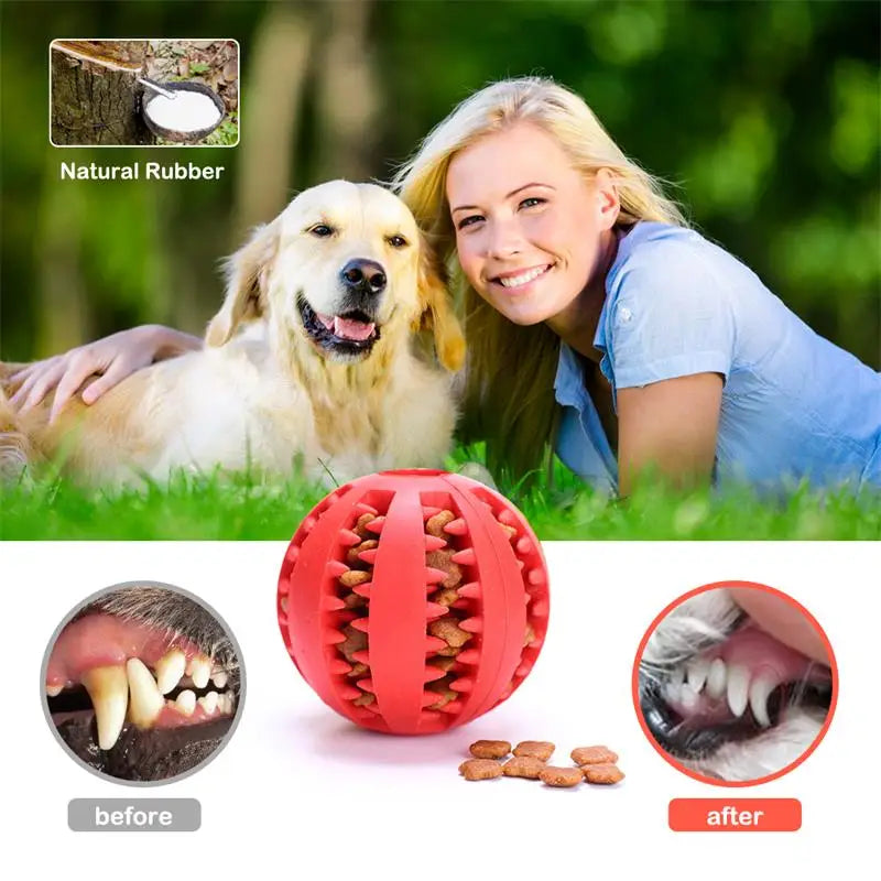 Treat Ball For Dogs - Fun, Bouncy & Tooth-Cleaning
