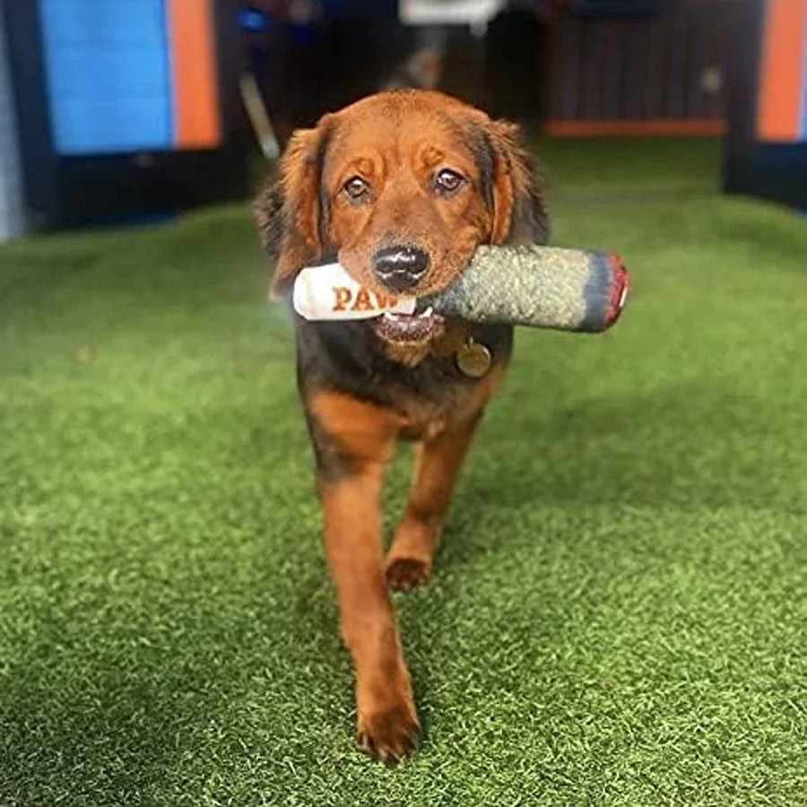 Cigar Plush Dog Toy - Squeaky, Fun & Teeth- Friendly