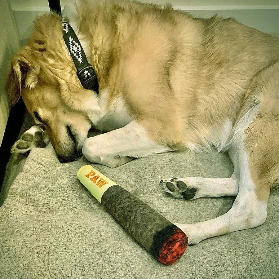 Cigar Plush Dog Toy - Squeaky, Fun & Teeth- Friendly