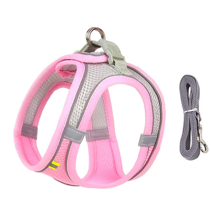 Small Pet Harness Leash