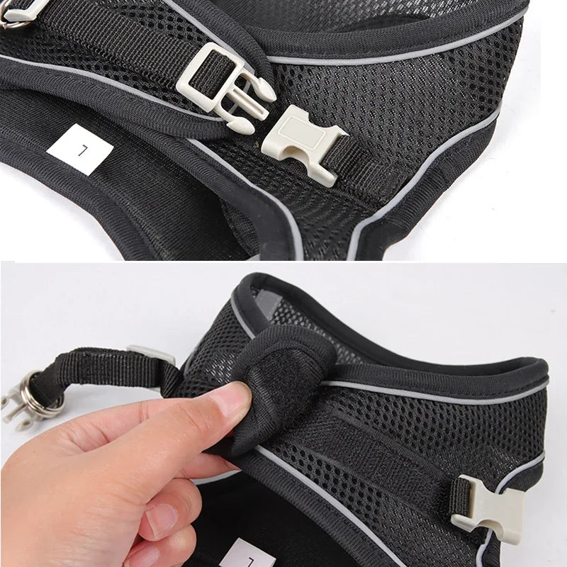Small Pet Harness Leash