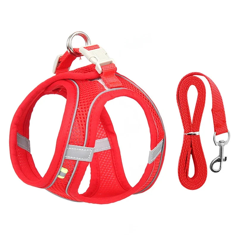Small Pet Harness Leash