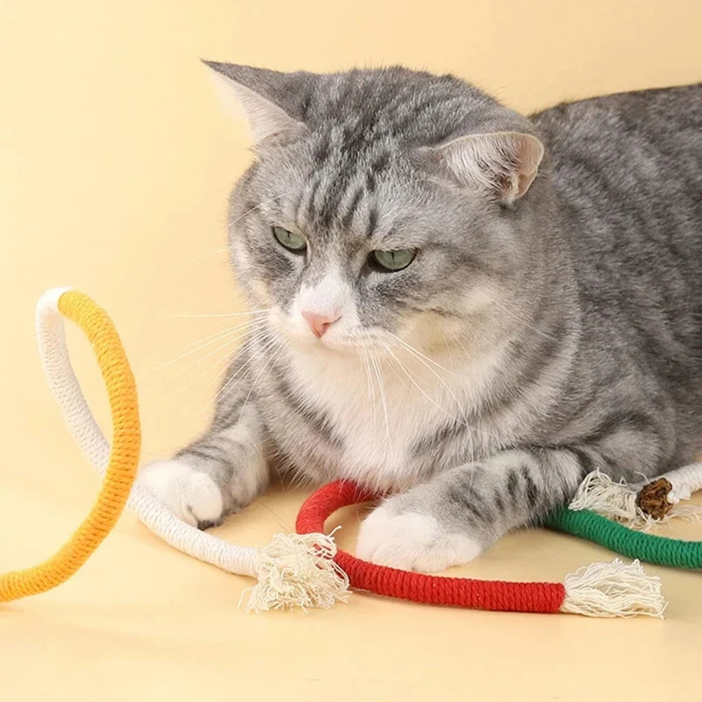 Interactive Cat Nip Kitty Toys for All Breeds