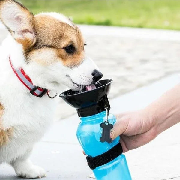 500ml Outdoor Portable Pet Water Bottle