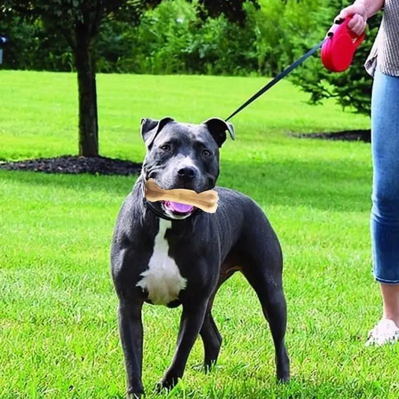 Chew Time Bone - Gentle On Gums, Tough On Bites