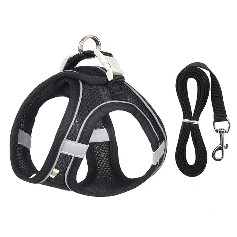 Small Pet Harness Leash