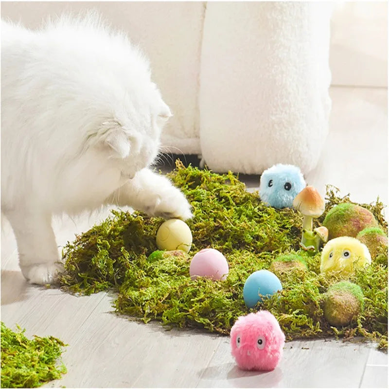 Cat Toys Balls Sound