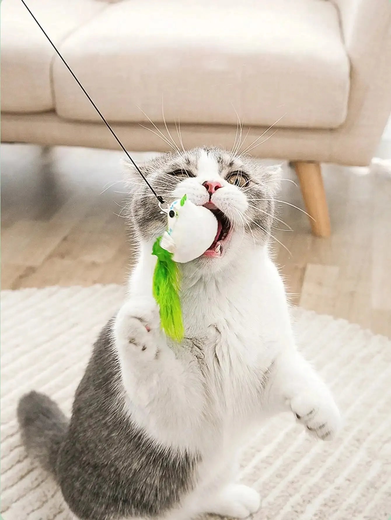Interactive Toy Simulate Bird Interactive Sucker Feather Bell Funny Cat Toys