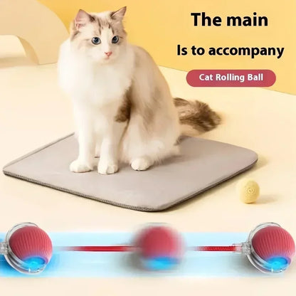 New Electric Cat Ball Toy Simulated