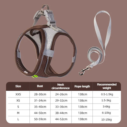Small Pet Harness Leash