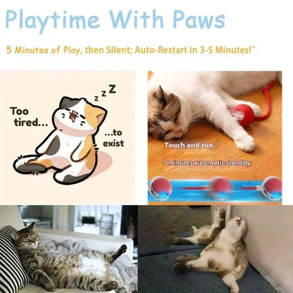 New Electric Cat Ball Toy Simulated