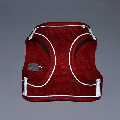 Small Pet Harness Leash