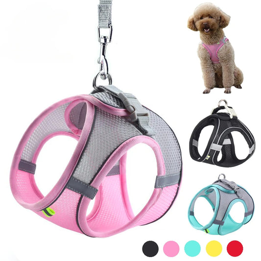 Small Pet Harness Leash