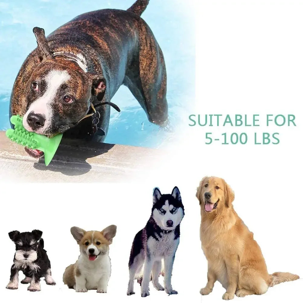 Dog Toothbrush Toy - Durable, Smart & Great For Chewers