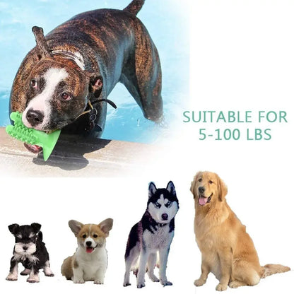Dog Toothbrush Toy - Durable, Smart & Great For Chewers