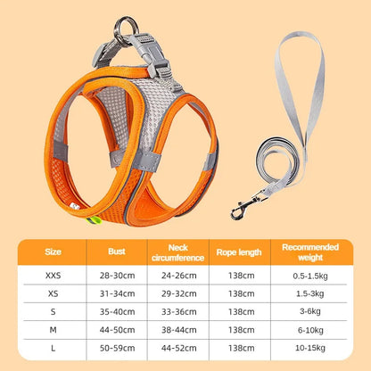 Small Pet Harness Leash
