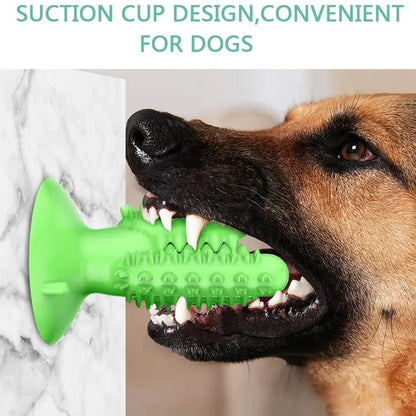 Dog Toothbrush Toy - Durable, Smart & Great For Chewers
