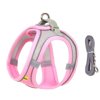 Small Pet Harness Leash
