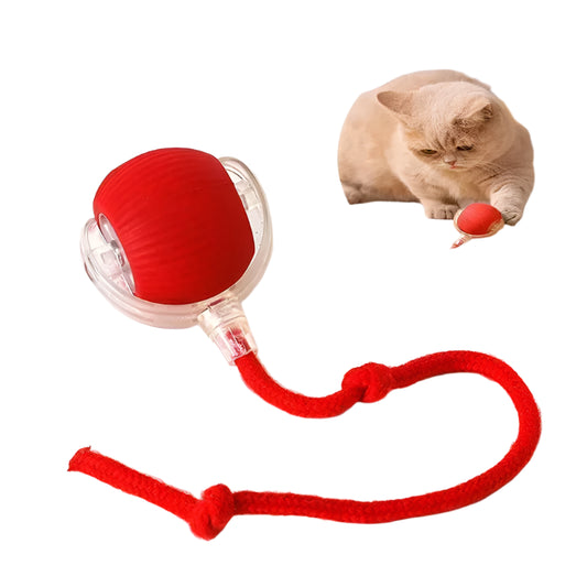 New Electric Cat Ball Toy Simulated