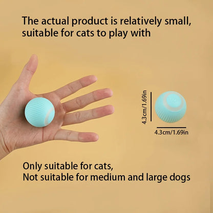Smart Moving Ball - USB Powered Fun for Playful Pups