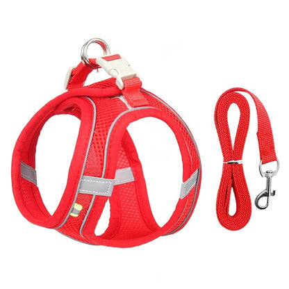 Small Pet Harness Leash