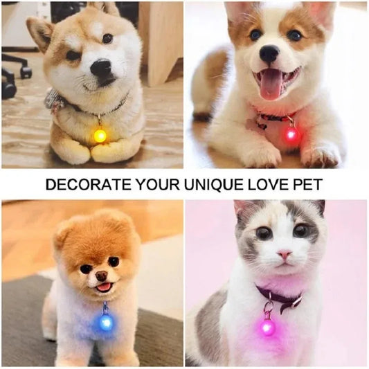 Pet Leads Glow Accessories Bright Necklace
