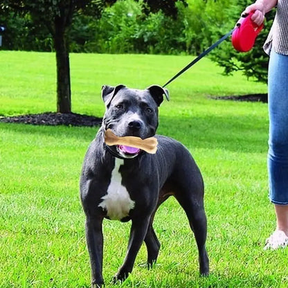 Chew Time Bone - Gentle On Gums, Tough On Bites