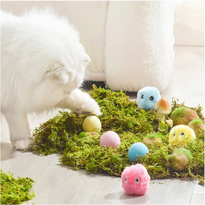 Cat Toys Balls Sound